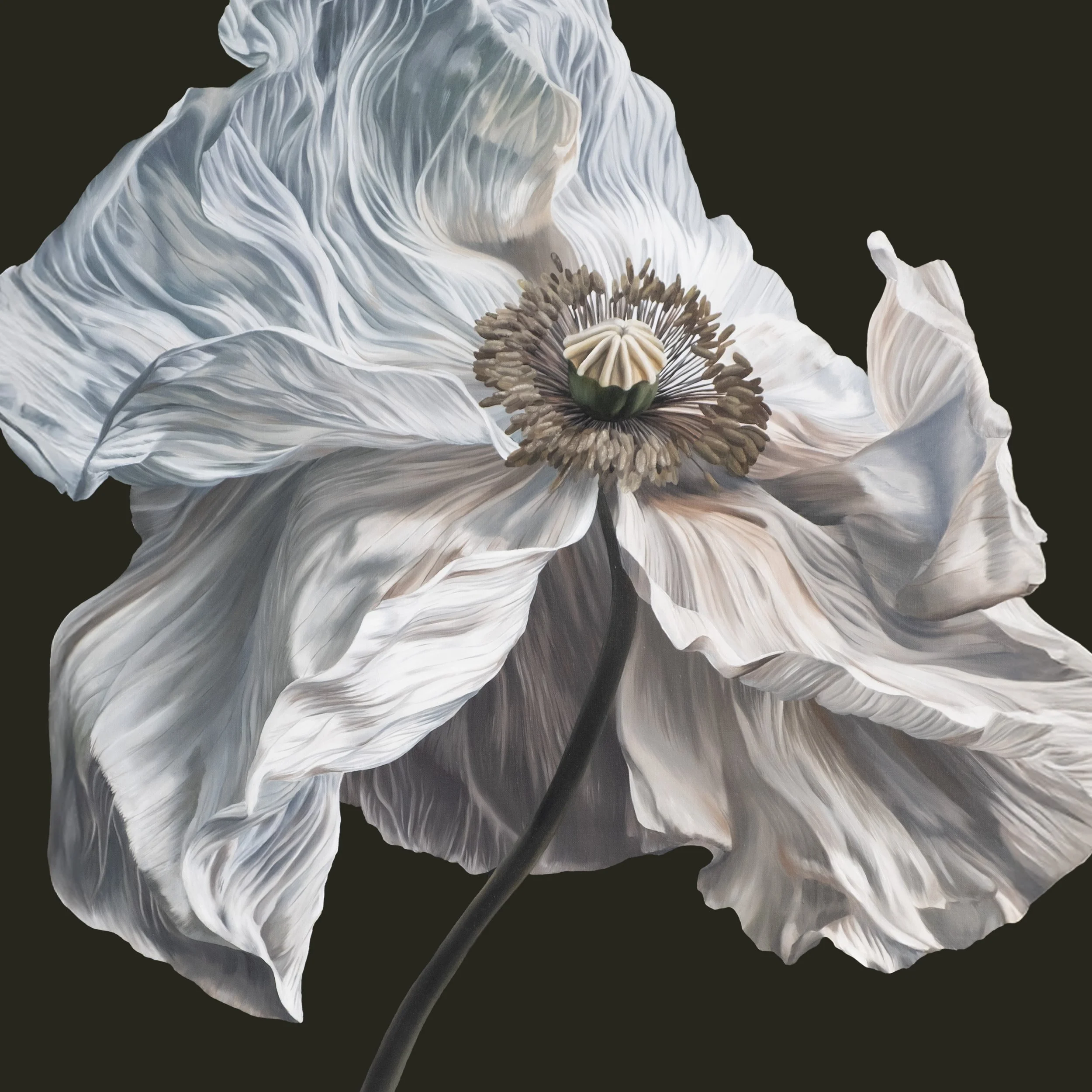 Music — Quicksand